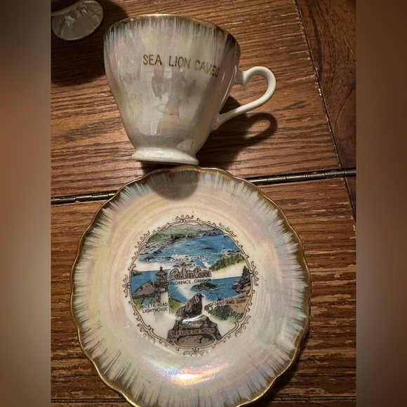 Vintage Sea Lion Caves Oregon Tea cup and Saucer - Picture 1 of 5